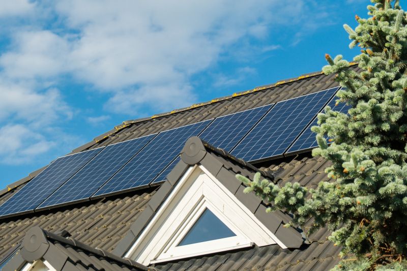 Pannelli fotovoltaici su un tetto a falde, accanto a un abete
